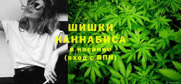 дмт Осинники