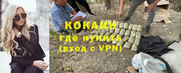 стаф Абаза