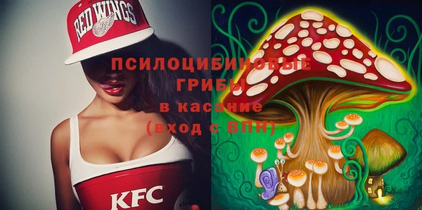 дмт Осинники