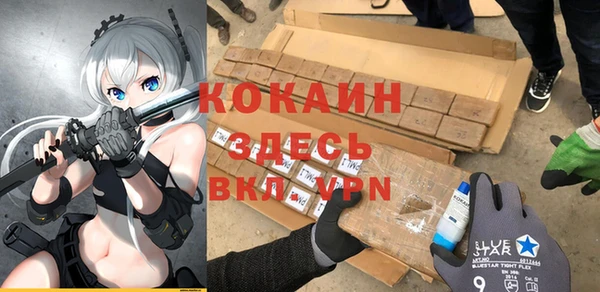 стаф Абаза
