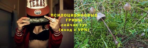 прущие крисы Абдулино